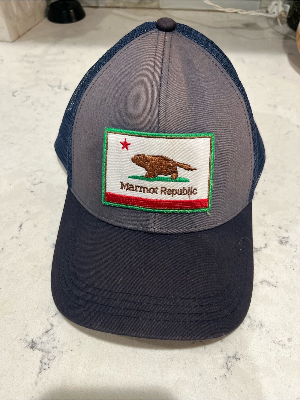 Navy and Gray Marmot Trucker Hat